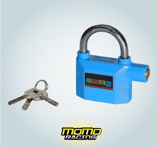 Blue Alarm lock