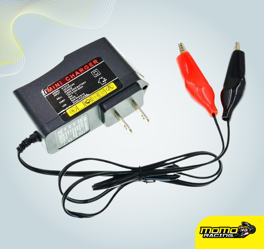 Mini battery charger