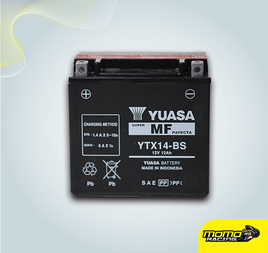 Yuasa YTX 14 battery