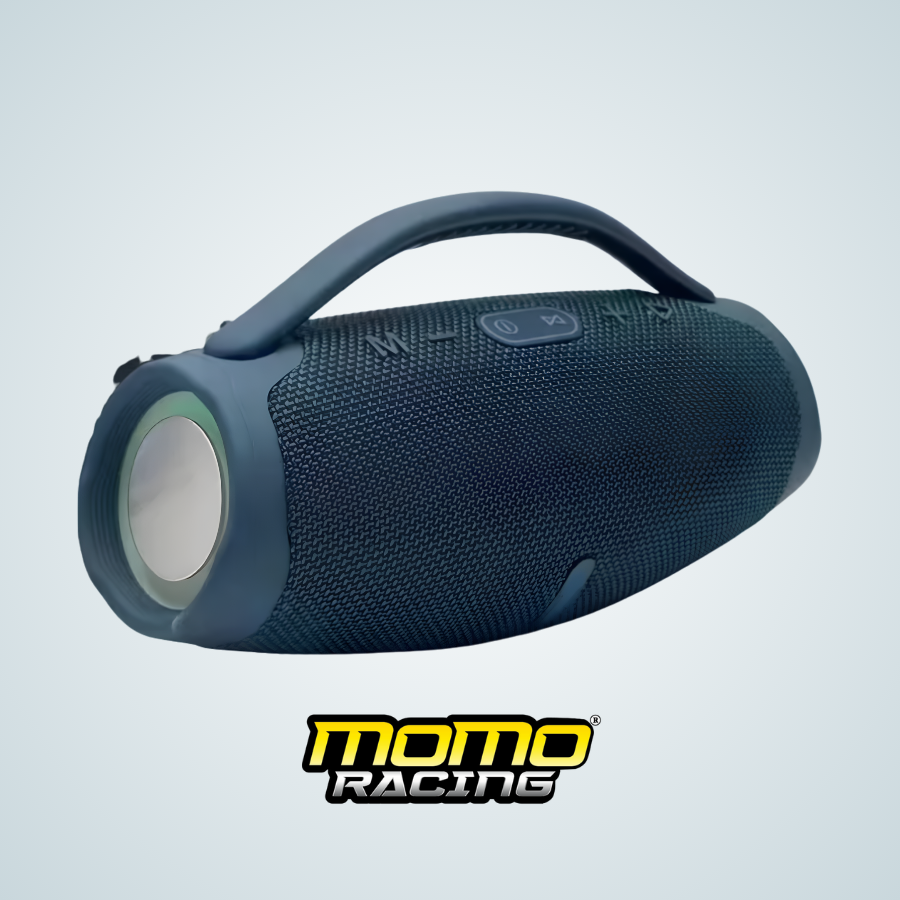 Blue 1389 L speaker
