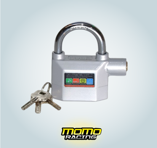 Silver Alarm lock
