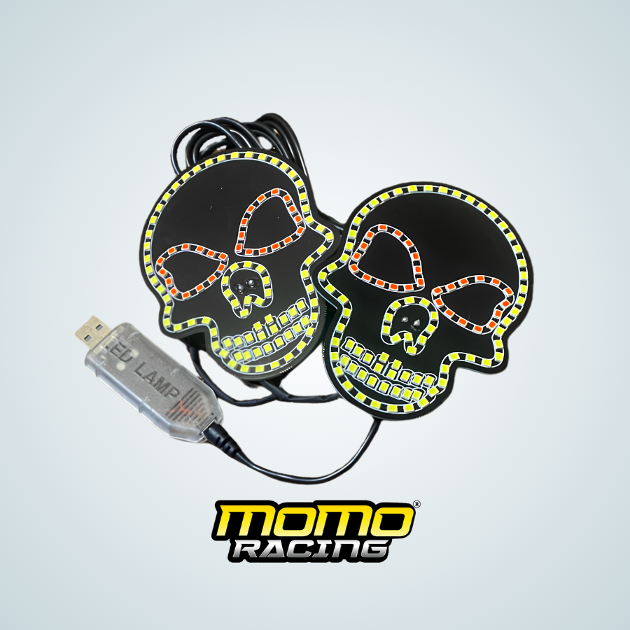 S111 skull led