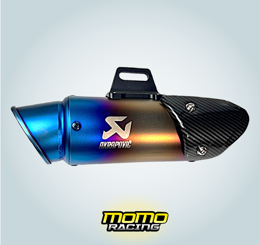 Carbon Ombré 113 Akrapovič exhaust